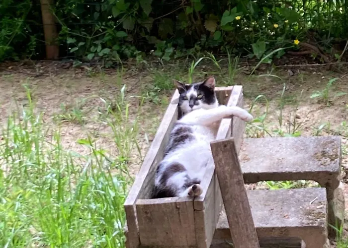 La Casa Nel Con Piscina * Polverara