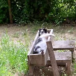 La Casa Nel Con Piscina * Polverara