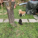La Casa Nel Con Piscina *