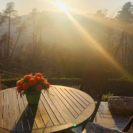 La Casa Nel Con Piscina Polverara