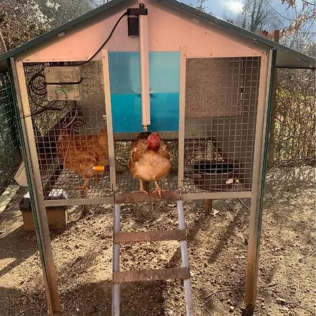 Apartman La Casa Nel Con Piscina *