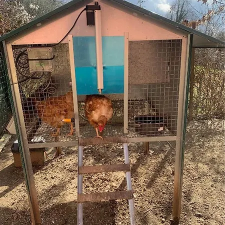 La Casa Nel Con Piscina *