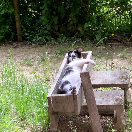 La Casa Nel Con Piscina * Polverara