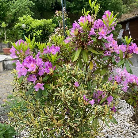 La Casa Nel Con Piscina Apartman *