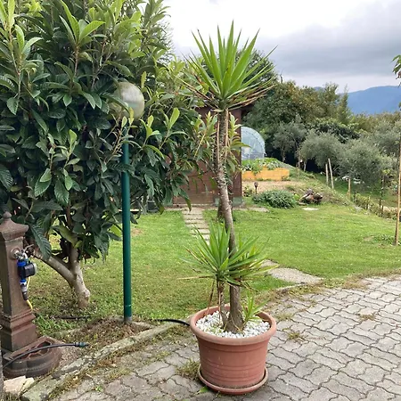 La Casa Nel Con Piscina Lejlighed *