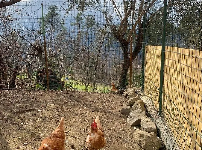 شقة La Casa Nel Con Piscina *