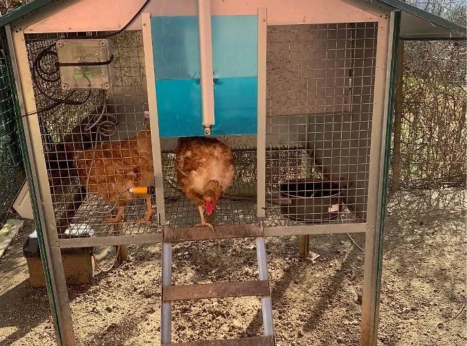 La Casa Nel Con Piscina *