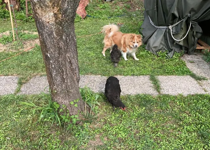 La Casa Nel Con Piscina *